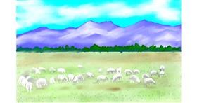 Drawing of Sheep by GJP