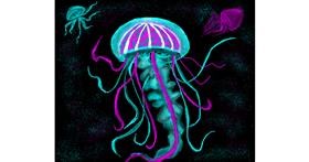 Drawing of Jellyfish by Ana