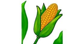 Drawing of Corn by MEL