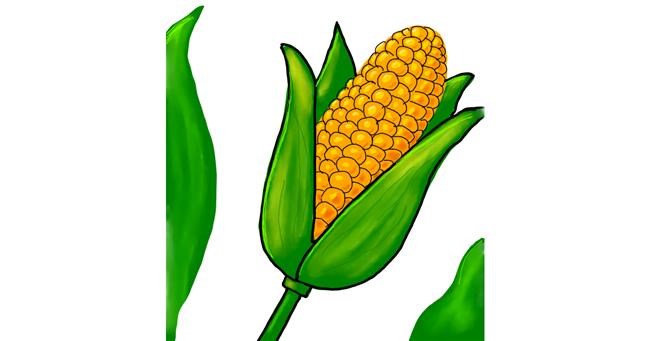 Drawing of Corn by MEL