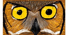 Drawing of Owl by Sam