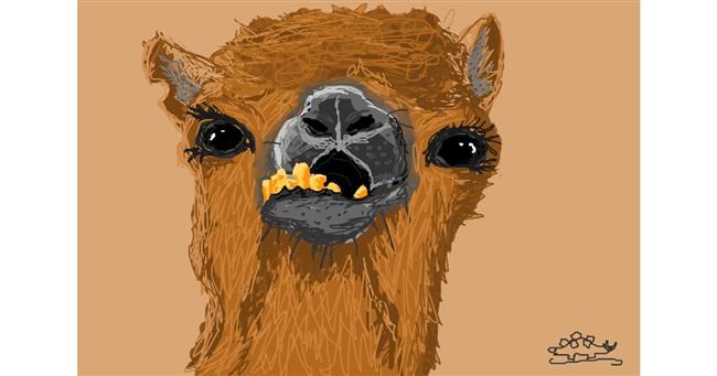 Drawing of Camel by Stegosaurus