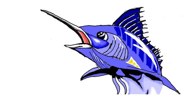 Drawing of Swordfish by Ténèbres