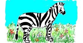 Zebra - autor: Lsk