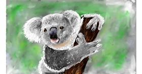 Koala-Zeichnung von Mia