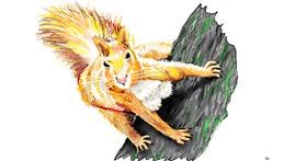 Drawing of Squirrel by flowerpot