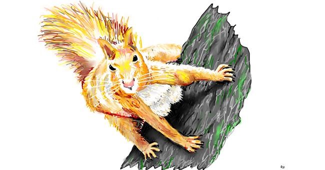 Drawing of Squirrel by flowerpot