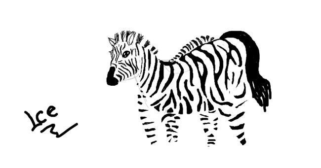 Zebra - autor: IceSleep