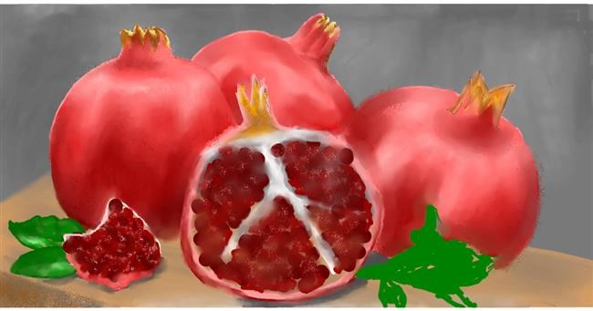 Drawing of Pomegranate by Ana