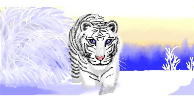 Tigar - autor: Sumafela