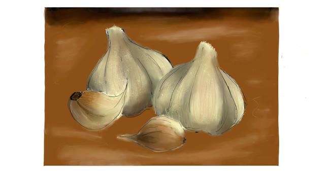 Drawing of Garlic by ❤ORO❤