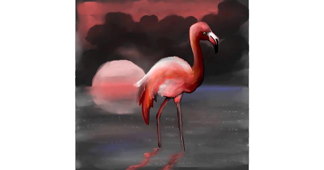 Flamingo - autor: Leah