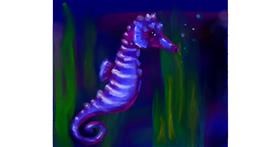 Drawing of Seahorse by Tab