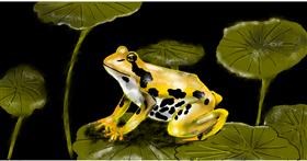 Drawing of Frog by Eclat de Lune