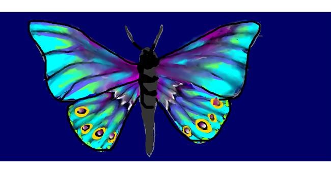 Drawing of Butterfly by Dr Malito