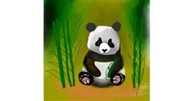 Panda - autor: Ri