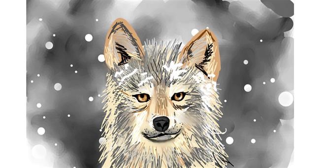 Drawing of Wolf by Rose rocket