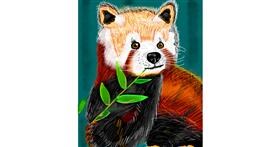 Drawing of Red Panda by ヴィクトル