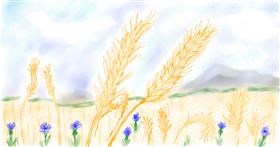 Drawing of Wheat by Maggy
