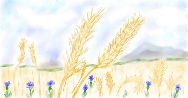 Drawing of Wheat by Maggy