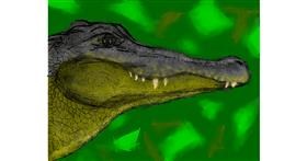 Drawing of Alligator by Malone