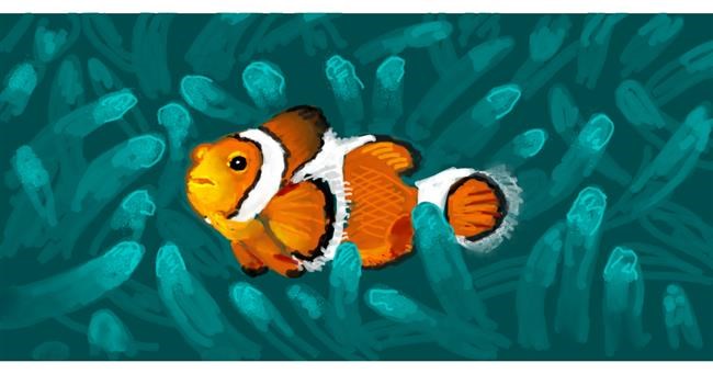 Clownfish - autor: shiNIN
