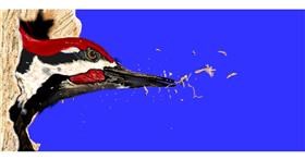 Drawing of Woodpecker by Chaching
