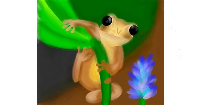 Frosch-Zeichnung von amys.rcovy