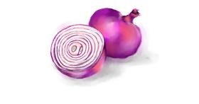 Drawing of Onion by Unknown