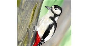 Drawing of Woodpecker by Muni