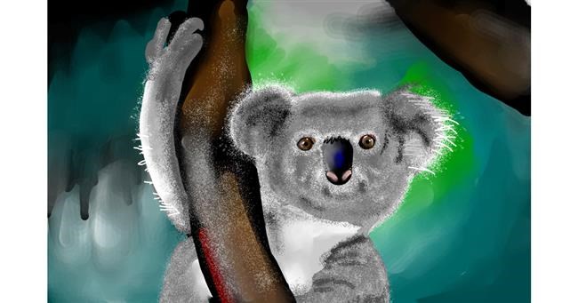 Koala - autor: Rose rocket