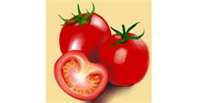 Drawing of Tomato by Namie