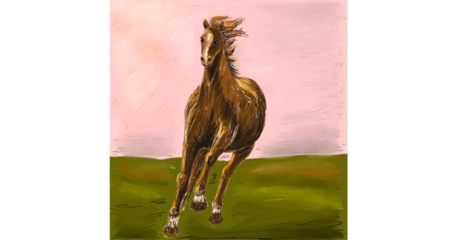 Drawing of Horse by Andromeda