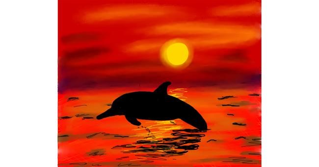 Drawing of Dolphin by Sofie