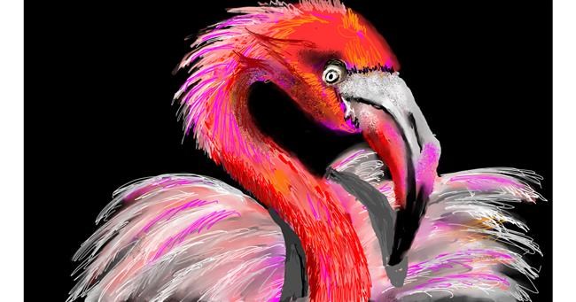 Flamingo - autor: SAM AKA MARGARET 🙄