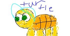 Drawing of Tortoise by Anonymous