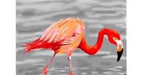 Flamingo - autor: flowerpot