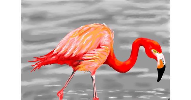 Flamingo - autor: flowerpot