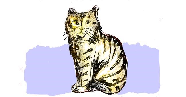 Drawing of Cat by Lsk