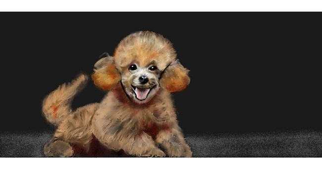 Drawing of Poodle by Chaching