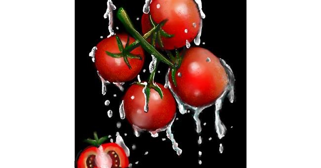 Drawing of Tomato by Leah
