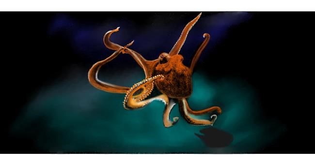 Drawing of Octopus by Chaching