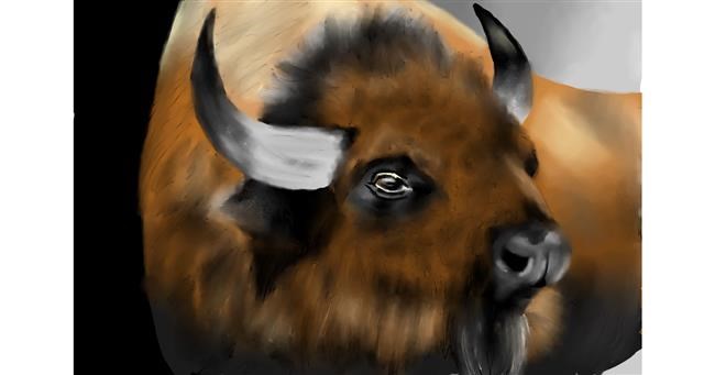 Bison-Zeichnung von RadiouChka🍉