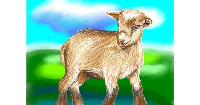 Drawing of Goat by ⋆su⋆vinci彡