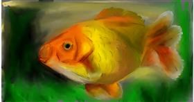 Drawing of Goldfish by Mia