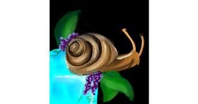 Drawing of Snail by Manali