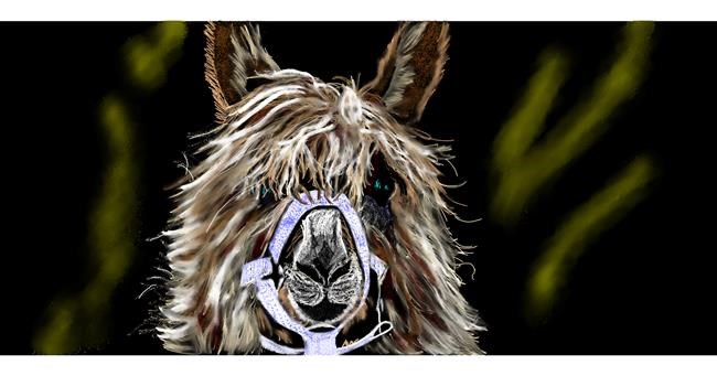 Drawing of Llama by Chaching