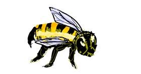 Drawing of Bee by Anonymous