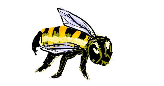 Drawing of Bee by Anonymous