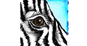 Drawing of Zebra by Dettale